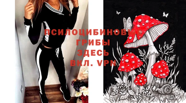 прущая мука Карпинск