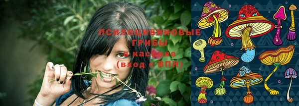 экстази Алексин