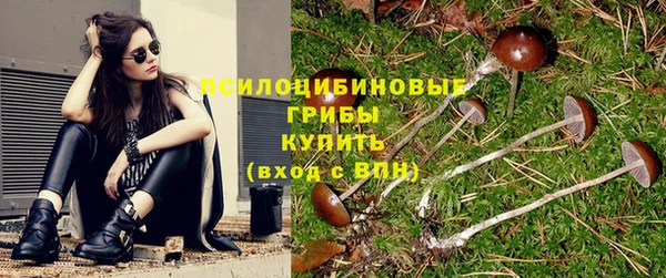 экстази Алексин