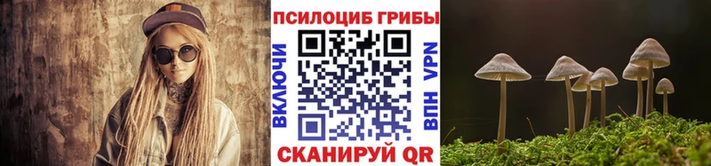 наркошоп мориарти клад Псилоцибиновые грибы ЛСД Волжский
